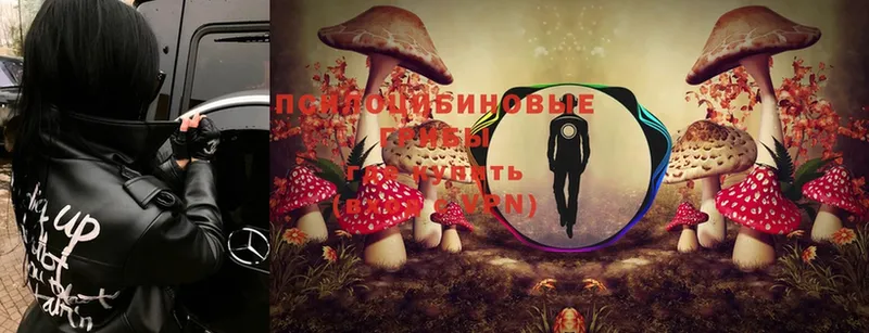 Галлюциногенные грибы Psilocybine cubensis  это формула  Алдан 